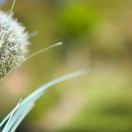 Waldblick Deppe מלון