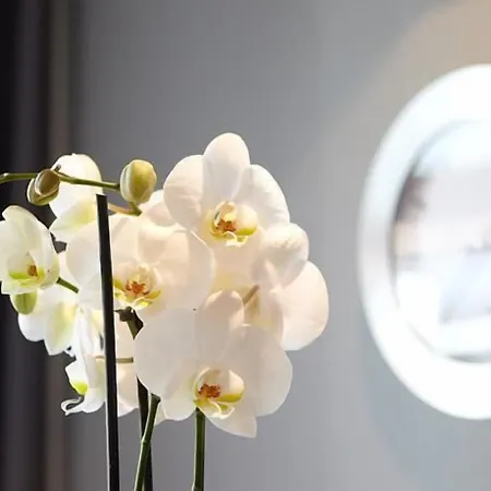 德普瓦布里克酒店 酒店 利普施塔特