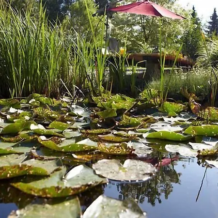 德普瓦布里克酒店 酒店 利普施塔特
