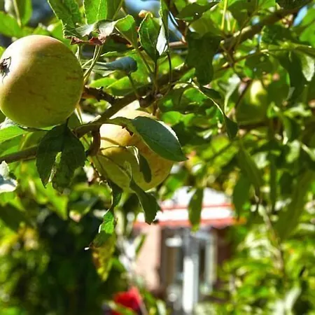 酒店 德普瓦布里克酒店 利普施塔特