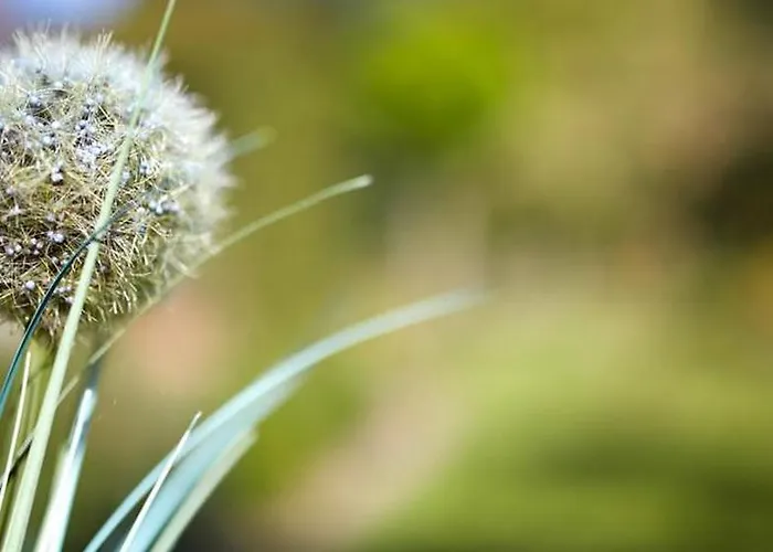 德普瓦布里克酒店 酒店