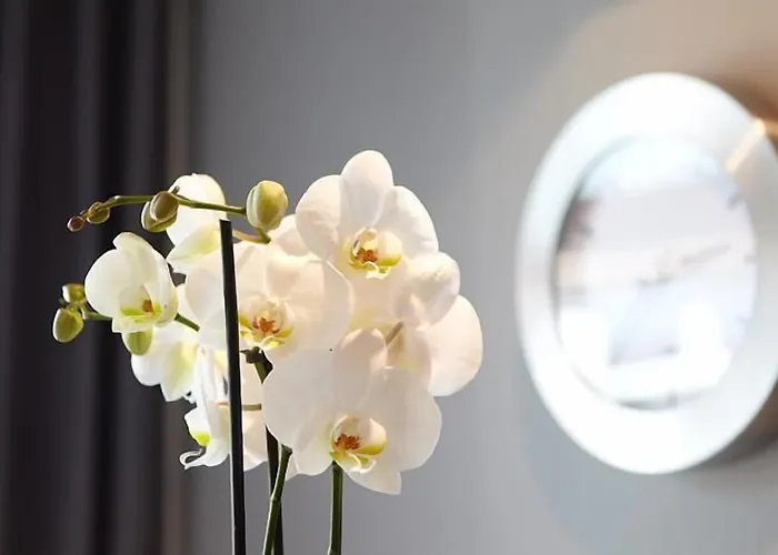 德普瓦布里克酒店 酒店 利普施塔特