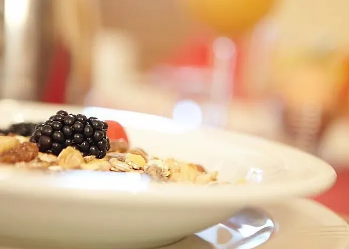 酒店 德普瓦布里克酒店 3*