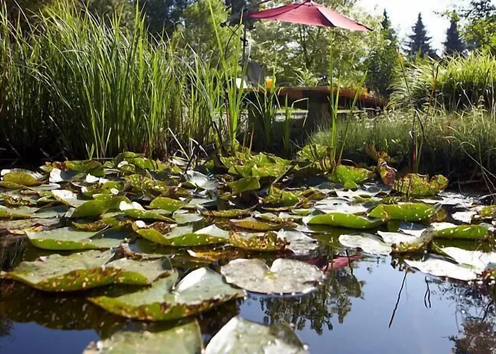 德普瓦布里克酒店 酒店 利普施塔特