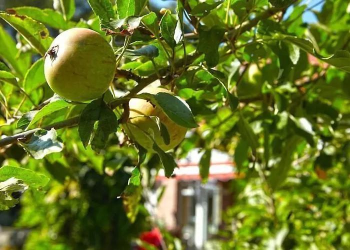 酒店 德普瓦布里克酒店 利普施塔特